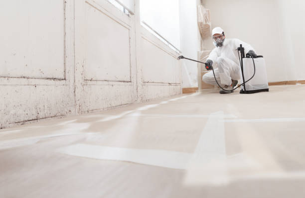 24/7 Emergency Black Mold Removal experts in Lake Forest, IL