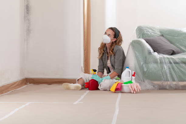 Reliable Black Mold Removal contractor in Lake Forest, IL by WQB Mold Removal
